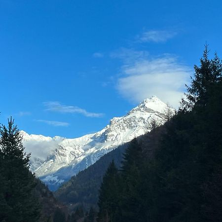 Casa Restelli Eg - Nahe Andermatt Gotthard Gurtnellen Eksteriør bilde